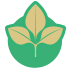 Soybean Icon